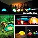 HAUSBELL LED Flashlight 8Pack Bright, Zoomable Tactical T8 LED Flashlights Flash Light with High Lumens and 5 Modes and Camping Accessories（8Pack）