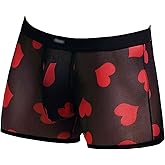 Evankin Men's Underwear Sexy Mesh Breathable Boxer Briefs Low Rise Cool Valentines Boxers Pack Set