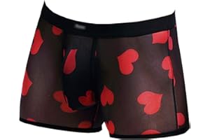 Evankin Men's Underwear Sexy Mesh Breathable Boxer Briefs Low Rise Cool Valentines Boxers Pack Set