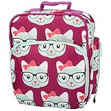 Insulated Durable Lunch Bag - Reusable Meal Tote With Handle and Pockets - Kitty