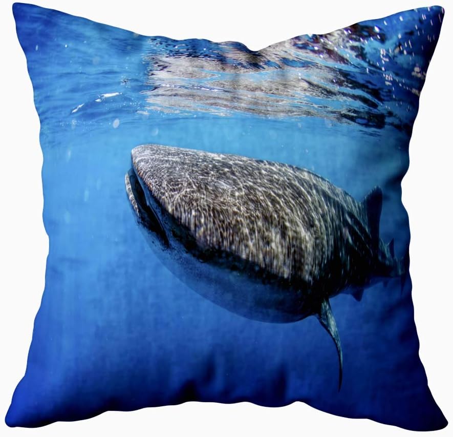 Musesh Decorative Throw Pillow Case, Baby Pillows Covers Whale Shark Swimming Crystal Clear Ocean Water 20X20 Inches Indoor Outdoor Pillowcases for Sofa Home Bed