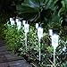 SURSUNNY Solar Lights Outdoor [16pack]- Solar Powered Pathway Lights Outdoor- Bright White -Waterproof Outdoor Landscape Lighting For Lawn/Patio/Yard/Walkway/Driveway (Stainless Steel)