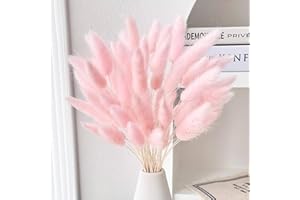 EEAIVNM 60PCS Rabbit Tail Grass Dried Flowers Dried Natural Floral Arrangement Bunch Decoration Dried Grass,Eternal Flower Dried Grass for Home,Wedding,Party,Flower Bouquet,Photo Props Decor (Light Pink)