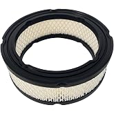 Lvdrwi 059402 Air Fi-lter Fits Ge-nera 20-27KW Home Standby Generator Replaces G059402