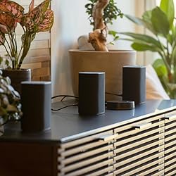 Platin Milan 5.1 Surround Sound Speaker System