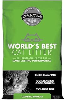 blue tick hound hunting