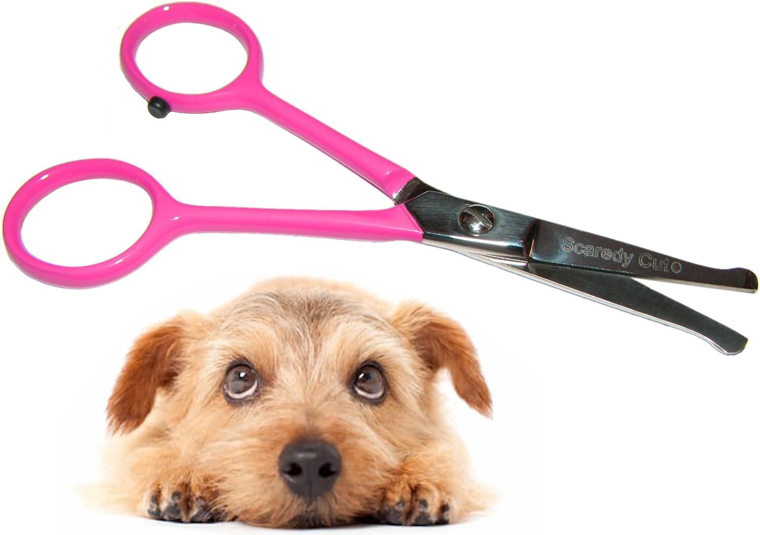 Photo 1 of Tiny Trim 4.5" Ball-Tipped Scissor for Dog, Cat and all Pet Grooming - Ear, Nose, Face & Paw - Scaredy Cut's small Safety Scissor