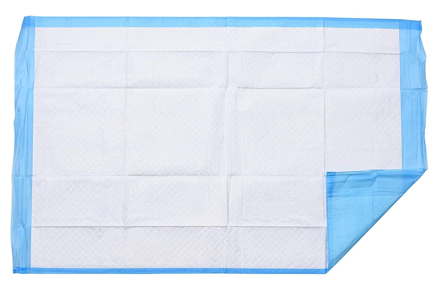 A WORLD OF DEALS INC2336R Disposable Blue Underpad 23 X 36, 150/Case: Industrial & Scientific