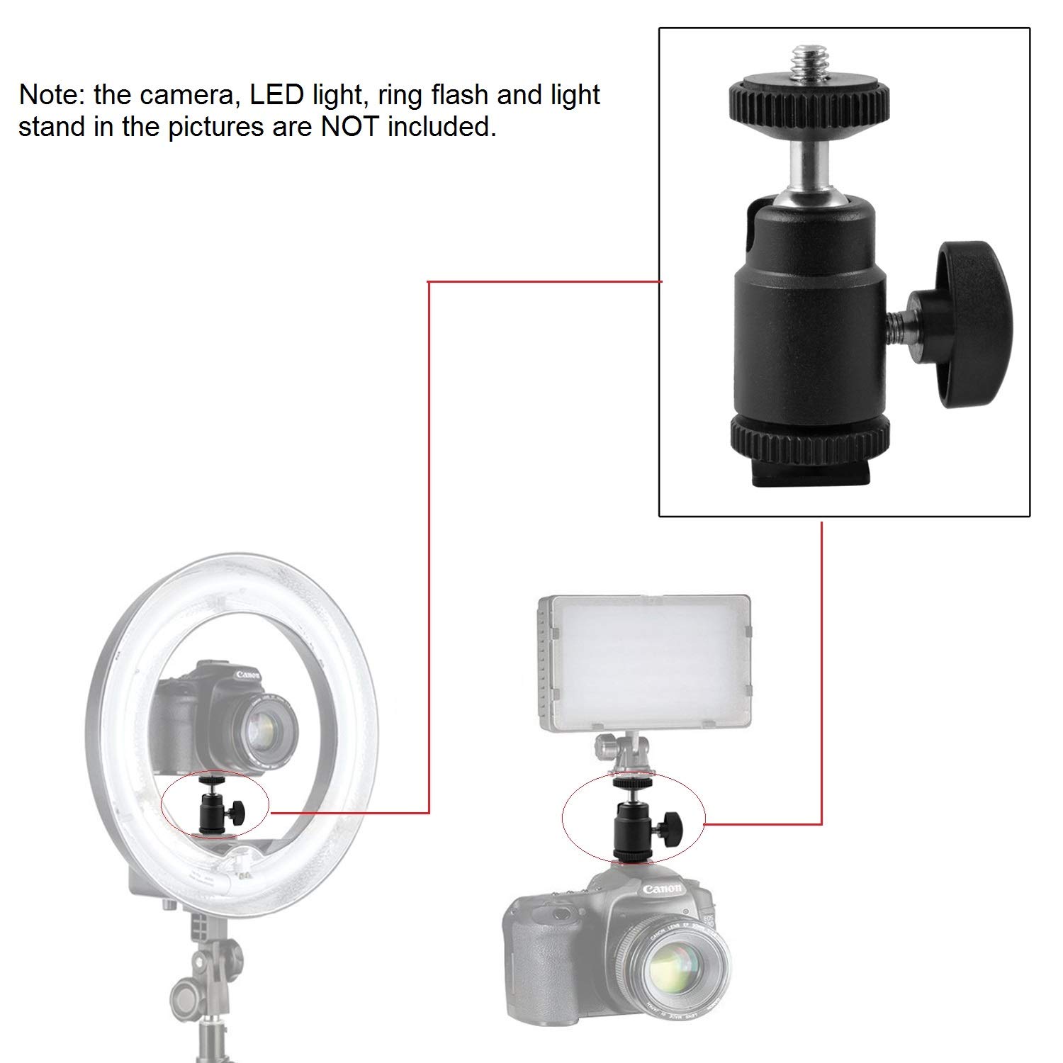 prost Mini Ball Head with Lock and Hot Shoe Adapter Camera Cradle 1/4\