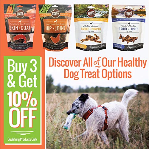 Smart Cookie Salmon All Natural Dog Treats Skin & Coat Biscuits