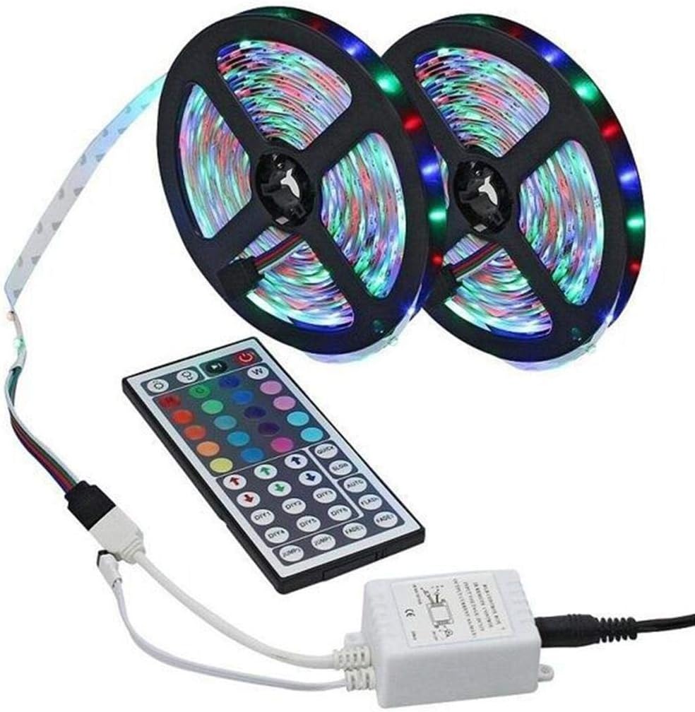 Rainlin 3528 SMD RGB Color Changing Strip Light with 44key Remote Controller Indoor String Lights LED Lights (20m)