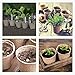 GROWNEER 4 Inch 60 Pcs Peat Pots Seed Starter