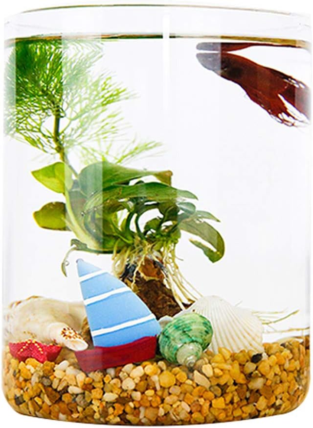kids goldfish tank