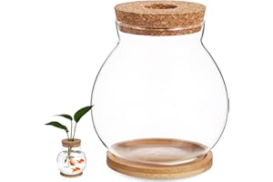 POPETPOP Desktop Glass Fish Bowl - Round Small Fish Tank with Wood Stopper & Bamboo Mat, Clear Glass Betta Fish Bowl for Succulent Plants, Hydroponic Air Plant (5.1X5.5 in)
