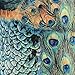 Peacock Print Large Drum Lamp Shade 14