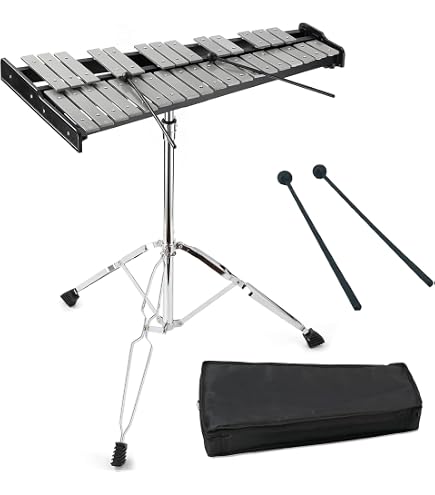 Amazon.com: Studio 49 AGd 2000 Alto Glockenspiel : Musical Instruments