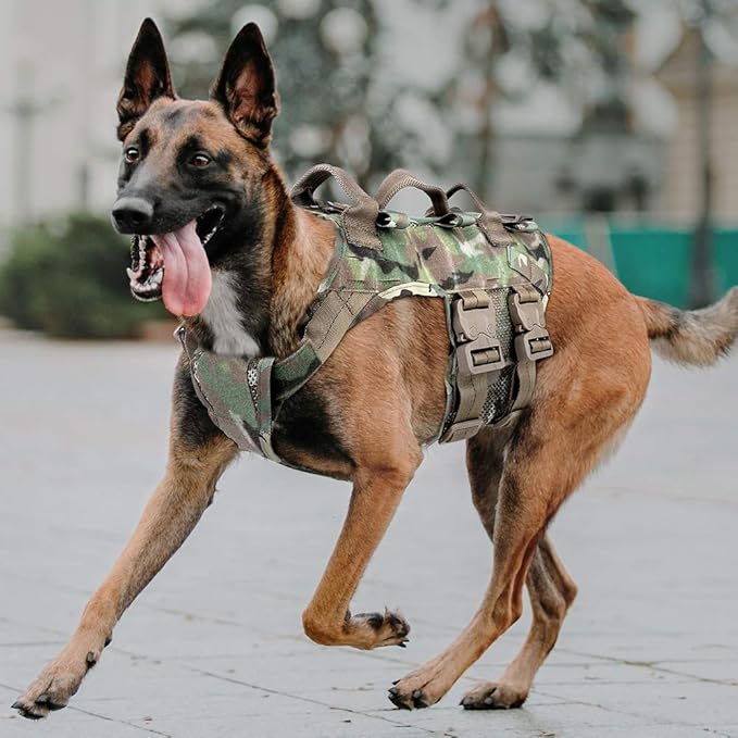 military working dog vest