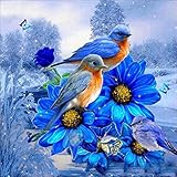 Neartime Clearance! Bird+Flower Drilling Painting, 5D Full Diamond Landscape Embroidery Home Decor Art Cross Craft Stitch (30×30cm, Blue)