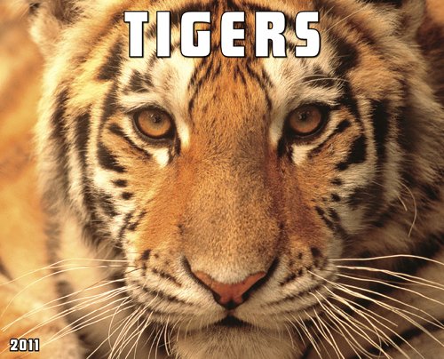 Tigers 2011 Wall Calendar