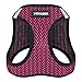 Best Pet Supplies - All Weather Mesh/Plush, Reflective, No Pull Harness for Small, Medium Dogs, Cats - Secure with Hook & Loop Fastener, Buckle, Double D-Rings - Fuchsia 2-Tone, L