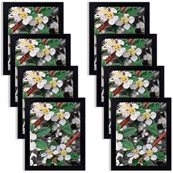 Golden State Art Set of Eight, 8x10 Black Frame - Easel Stand, Back Hangers, Flexible Back Tabs - Lightweight, Thin Profile, Acrylic Glass - Multi-Pack, Collage, Collection (8x10, Black)