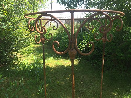 Staudenhalter 50cm Strauchhalter Staudenbinder rund Rankhilfe Stütze Pflanzen Metall Eisen Rost Deko – Bild 5