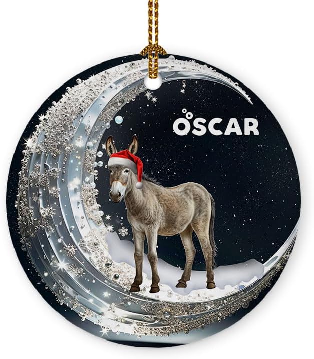 Ornaments - Personalized Donkey Christmas Ornament Funny Animal Lover Gifts Xmas Tree Hanging Decor Ornaments Keepsake Gift for Family Friends Kids Ceramic Round Ornament 3'' Padovo