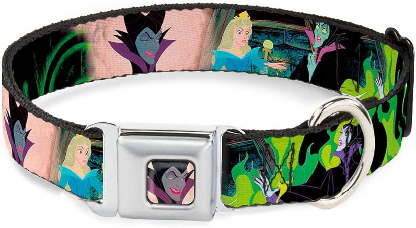 Aurora dog collar Clearance