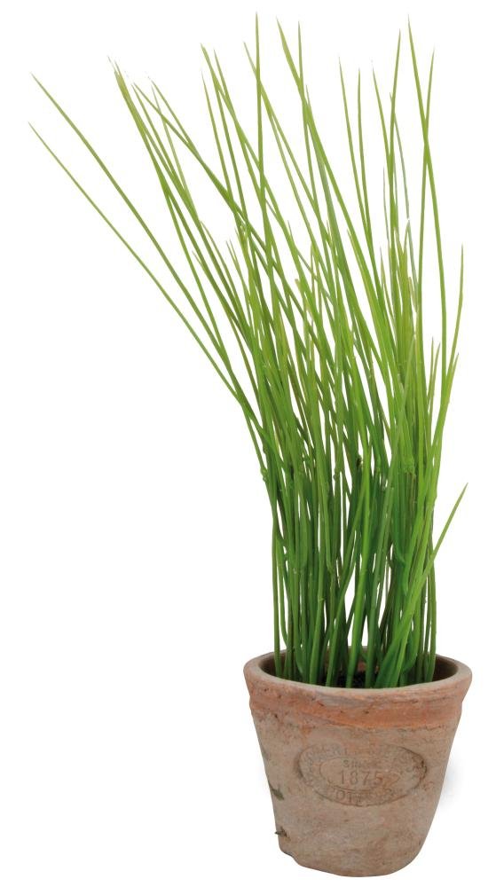 Esschert's Design AH005 Small Artificial Aged Terracotta Pot - Chives