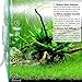 Rhinox Glass Drop Checker Kit – 3 Seconds to Read CO2 Levels - 3 Minutes to Setup - Fastest Way to Ensure Sufficient Co2 in Planted Aquarium - Color Change Reflects the Level of CO2