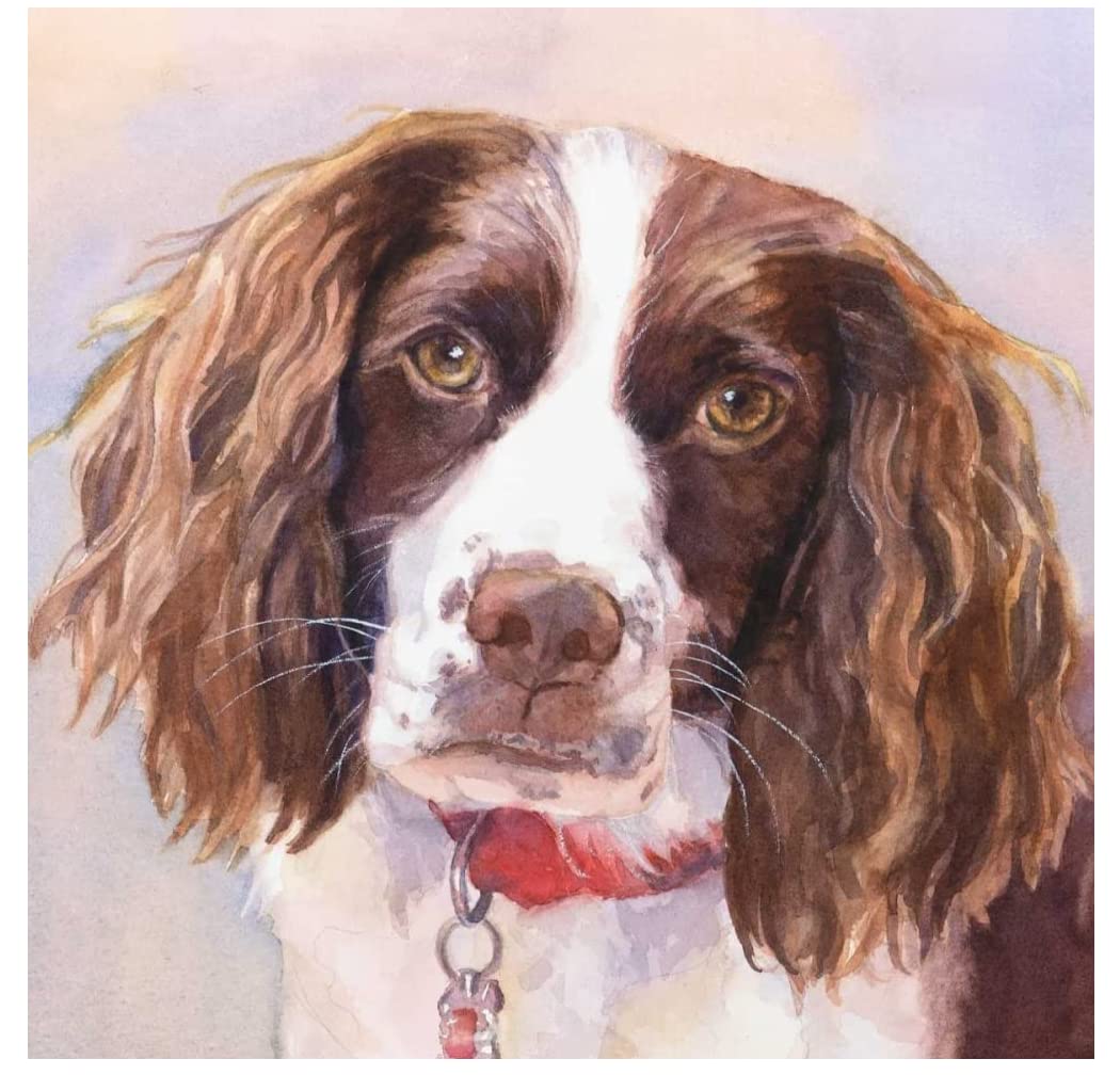 SYMON Cross Stitch Kits for Adults,Springer Spaniel,11CT Counted Printed Cross Stitch Kits,15.74 ×15.74 Inch