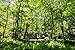 ENO, Eagles Nest Outfitters ProFly Rain Tarp, Ultralight Hammock Accessory