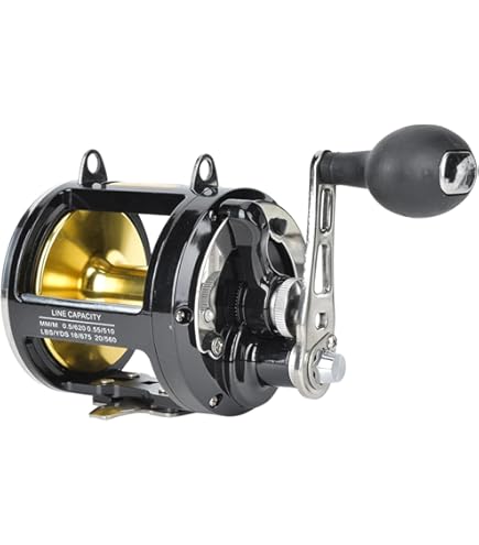 PENN FTHII25NLD Fathom II Lever Drag 25, Offshore Reels - Amazon