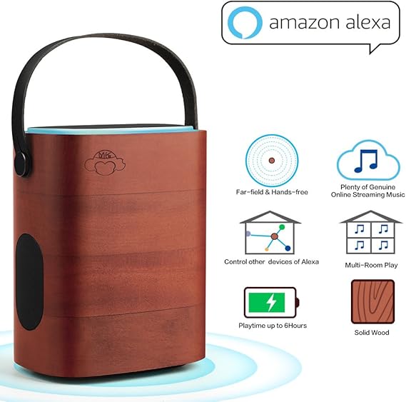 multi room play alexa