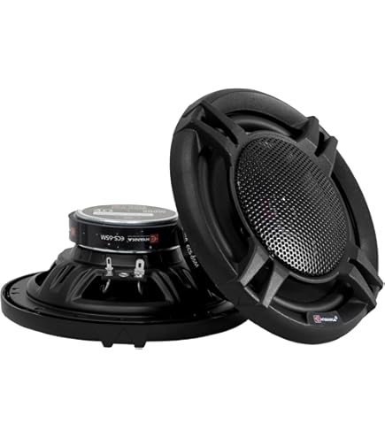 Amazon.com: H YANKA ECS-65M 6.5-Inch 2-Way Coaxial Car Speakers