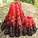 Volcano Aquarium Ornament, Aquarium Decor Fish Tank Decoration Artificial Fish Tank Landscape Replica Decoration Accessories Volcano Sculpture Kitthumb 4