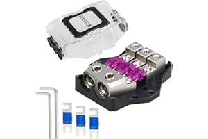 BRIGHTFUN 3 Way Mini-ANL Fused Distribution Block, 2 X 0/2/4 Gauge in / 3 X 4/8/10 Gauge Out Fuse Block with 60A, 100A Fuses for Auto UTV Boat Stereo Amp