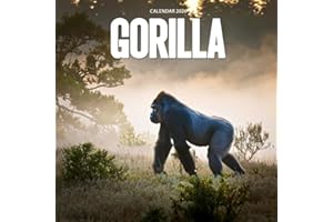 Gorilla 2026 Calendar: Powerful Primates and Gentle Giants