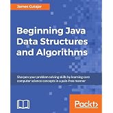 Beginning Java Data Structures and Algorithms: Sharpen your problem solving skills by learning core computer science concepts in a pain-free manner