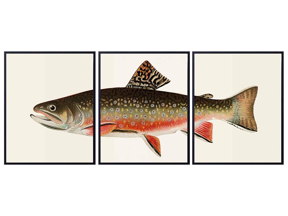 Trout Wall Art Print Set x3