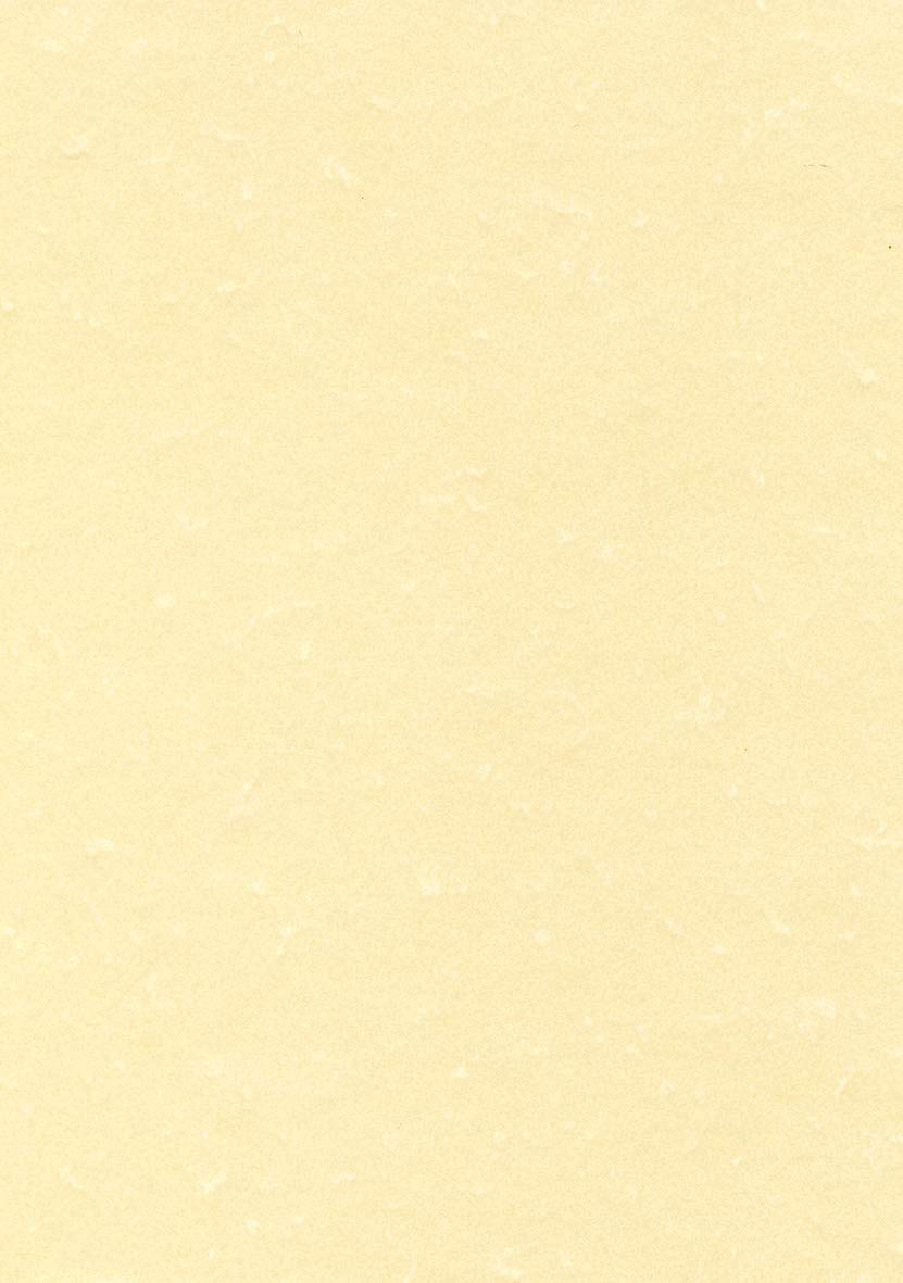DECAdry Letterhead Presentation Paper Poster-quality 165gsm A4 Champagne Ref DPPCL1677 [50 Sheets]