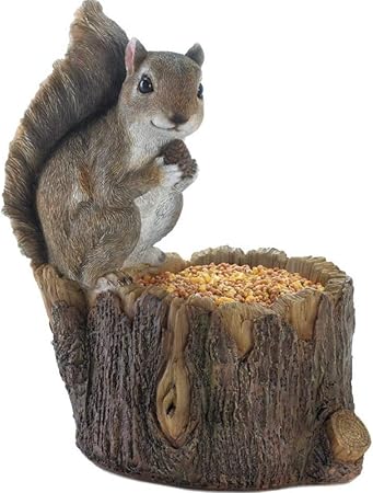 Amazon Com Decor And More Store Friendly Squirrel On A Tree