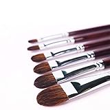 Transon Red Sable Filbert Paint Brushes 6pcs for