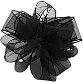Amazon.com: Berwick Offray DWI Sheer Spring Wired Edge Ribbon-2-1/2 ...