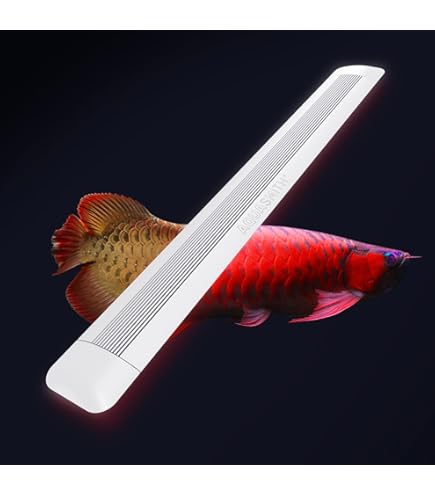 AROWANA TANNING LIGHT テンニング