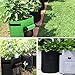 Accmor 3 Pcs Garden Potato Grow Bags with Flap and Handles Fabric Pots Heavy Duty, 7 Gallon Potato Tomato Planter Bag Vegetable Planting Bag (Black)thumb 4