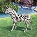 Design Toscano Zora the Zebra Outdoor Garden Statue, 22 Inch, Polyresin, Full Color