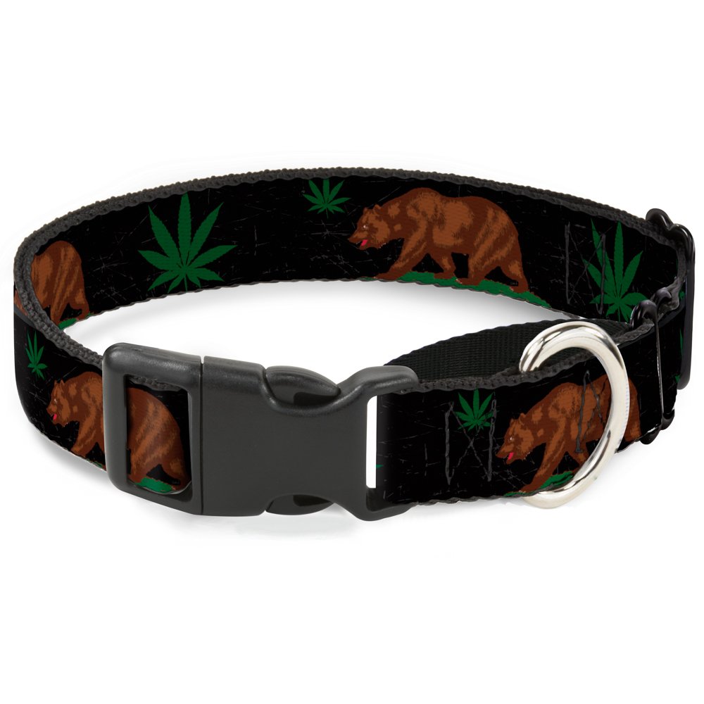 Reviews BuckleDown CALI Yellowith Orange Martingale Dog Collar