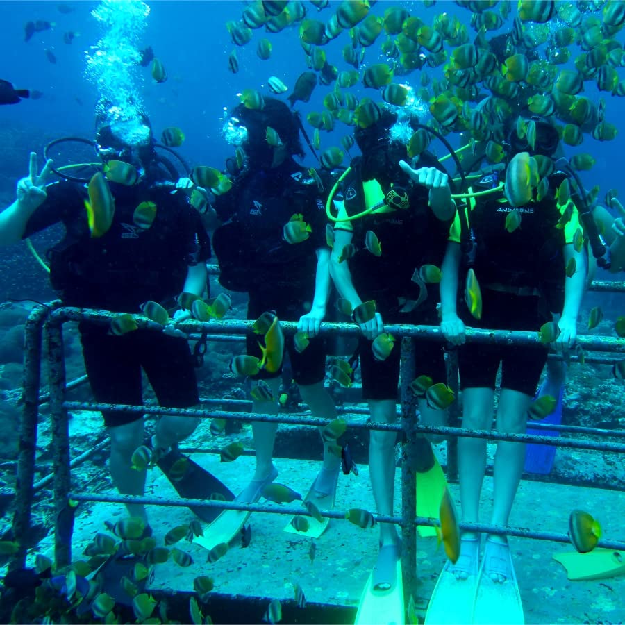 CRONDA Base Upgraded Scuba Diving Ventilator Tankless Diving System