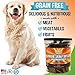 Bodhi Dog Potty Training Dog Treats Grain Free Turkey Jerky Bites | Healthy Reward Made with Turkey, Chickpeas & Molasses | No Corn, Wheat or Soy | Natural & Holistic Treats | Made in USA